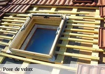 Pose de velux Indre 