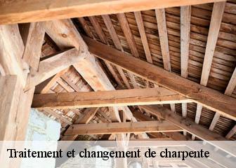 Traitement et changement de charpente Indre 