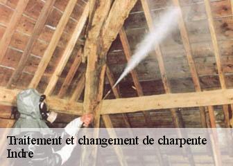 Traitement et changement de charpente Indre 