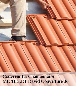Couvreur  la-champenoise-36100 MICHELET David Couverture 36