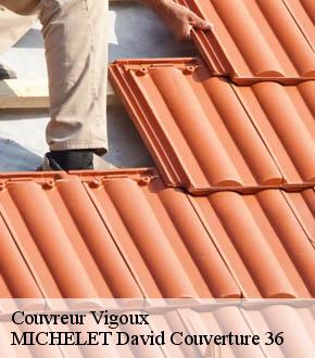 Couvreur  vigoux-36170 MICHELET David Couverture 36