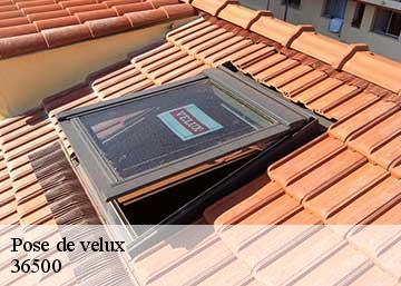 Pose de velux  36500