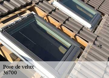 Pose de velux  36700