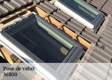 Pose de velux  36800