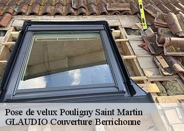 Pose de velux  36160