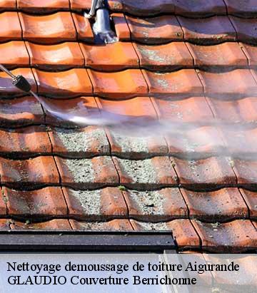 Nettoyage demoussage de toiture  aigurande-36140 GLAUDIO Couverture Berrichonne