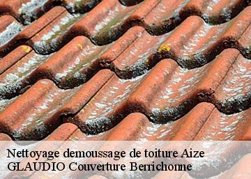 Nettoyage demoussage de toiture  36150