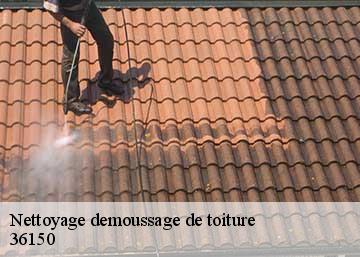 Nettoyage demoussage de toiture  36150