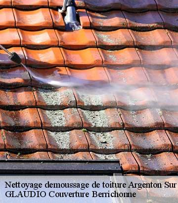 Nettoyage demoussage de toiture  argenton-sur-creuse-36200 GLAUDIO Couverture Berrichonne