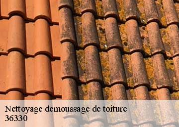 Nettoyage demoussage de toiture  36330