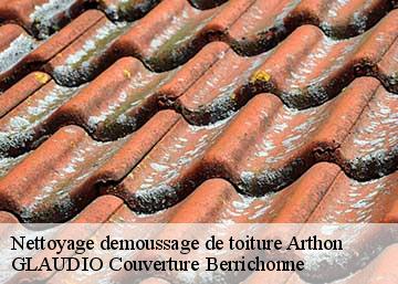 Nettoyage demoussage de toiture  36330