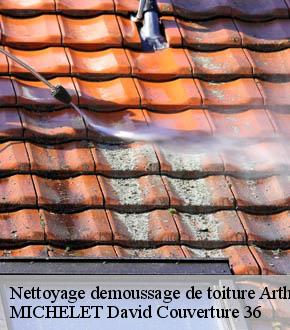 Nettoyage demoussage de toiture  arthon-36330 MICHELET David Couverture 36