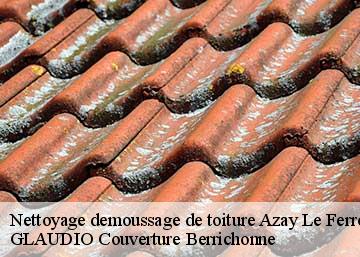 Nettoyage demoussage de toiture  36290