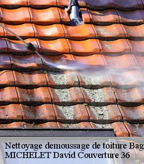 Nettoyage demoussage de toiture  bagneux-36210 MICHELET David Couverture 36