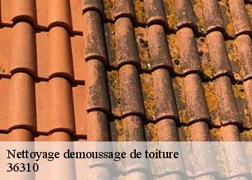 Nettoyage demoussage de toiture  36310