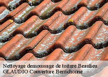 Nettoyage demoussage de toiture  36310