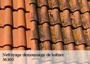 Nettoyage demoussage de toiture  36300