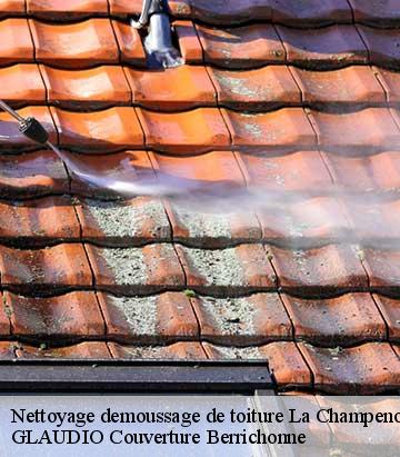 Nettoyage demoussage de toiture  la-champenoise-36100 GLAUDIO Couverture Berrichonne