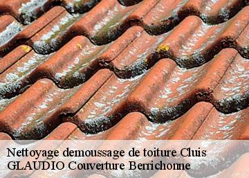 Nettoyage demoussage de toiture  36340