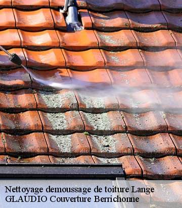 Nettoyage demoussage de toiture  lange-36600 GLAUDIO Couverture Berrichonne