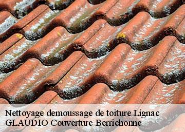 Nettoyage demoussage de toiture  36370