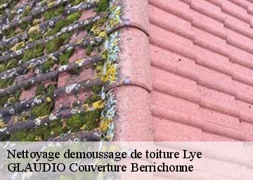 Nettoyage demoussage de toiture