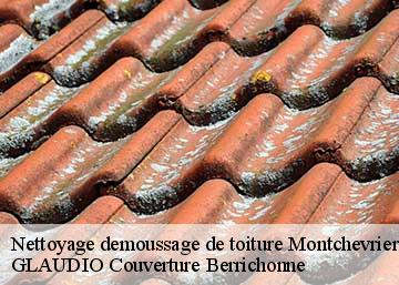 Nettoyage demoussage de toiture  36140