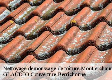 Nettoyage demoussage de toiture  36130