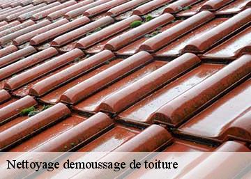 Nettoyage demoussage de toiture