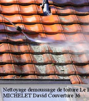 Nettoyage demoussage de toiture  le-poinconnet-36330 MICHELET David Couverture 36
