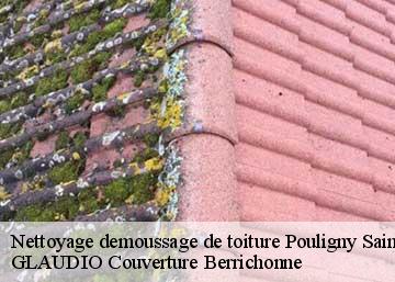 Nettoyage demoussage de toiture