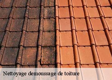 Nettoyage demoussage de toiture