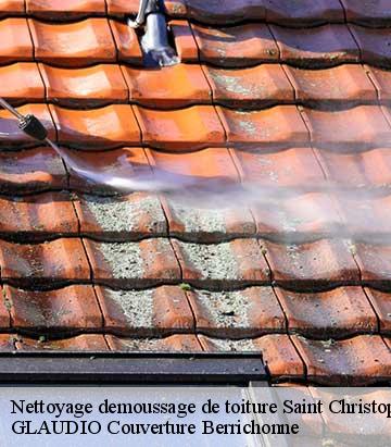 Nettoyage demoussage de toiture  saint-christophe-en-bazelle-36210 GLAUDIO Couverture Berrichonne