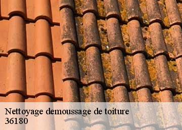 Nettoyage demoussage de toiture  36180