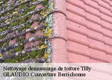 Nettoyage demoussage de toiture