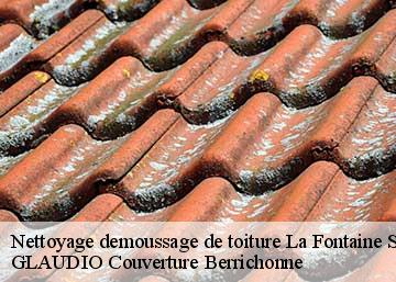 Nettoyage demoussage de toiture  36260