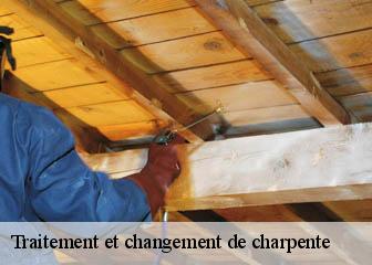 Traitement et changement de charpente