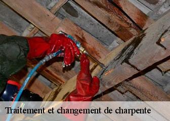 Traitement et changement de charpente