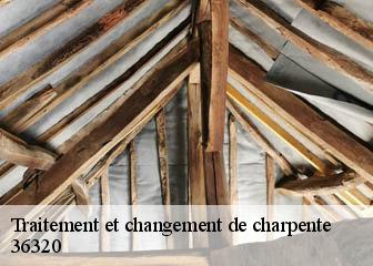 Traitement et changement de charpente