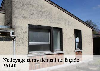 Nettoyage et ravalement de façade  36140