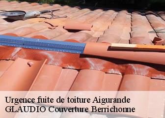 Urgence fuite de toiture  36140