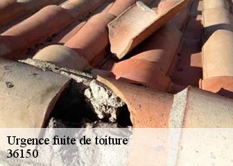 Urgence fuite de toiture  36150