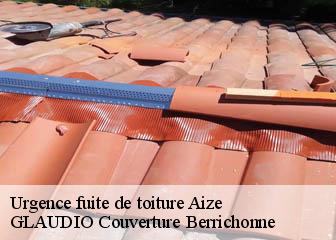 Urgence fuite de toiture  36150