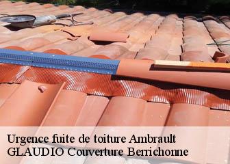 Urgence fuite de toiture  36120