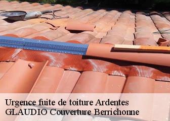 Urgence fuite de toiture  36120