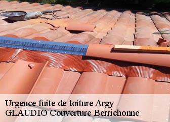 Urgence fuite de toiture  36500