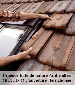 Urgence fuite de toiture  arpheuilles-36700 GLAUDIO Couverture Berrichonne