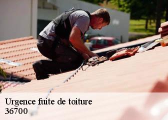 Urgence fuite de toiture  36700