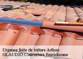 Urgence fuite de toiture  36330