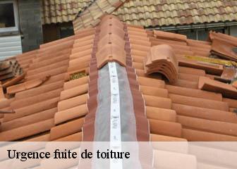 Urgence fuite de toiture  36330